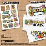 Artes digitais para Toppers / plaquinhas divertidas de Festa Junina